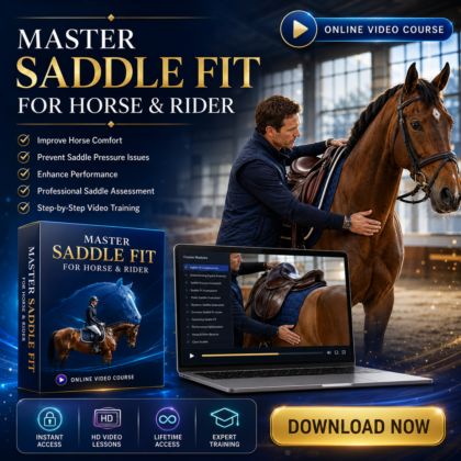 Intro to Saddle Fit and Tack Care